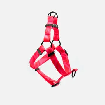 Aqua Waterproof Dog Harness